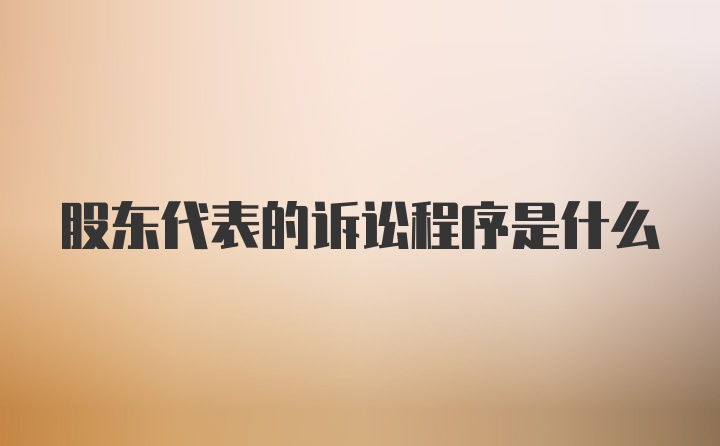 股东代表的诉讼程序是什么