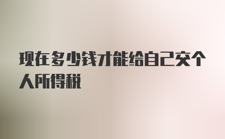 现在多少钱才能给自己交个人所得税