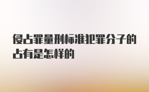 侵占罪量刑标准犯罪分子的占有是怎样的