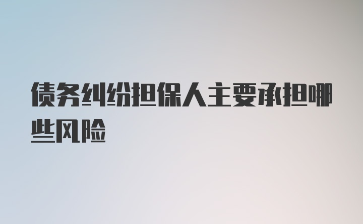 债务纠纷担保人主要承担哪些风险