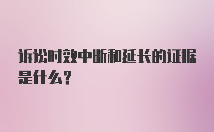 诉讼时效中断和延长的证据是什么？