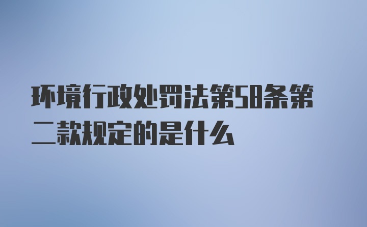 环境行政处罚法第58条第二款规定的是什么