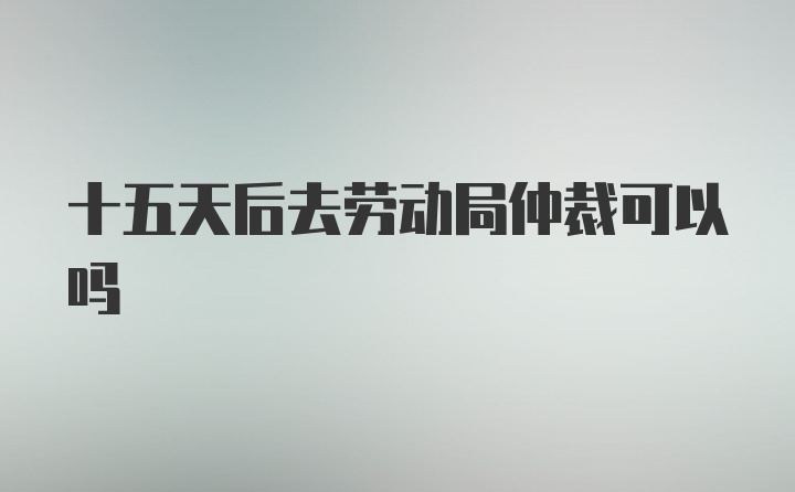 十五天后去劳动局仲裁可以吗