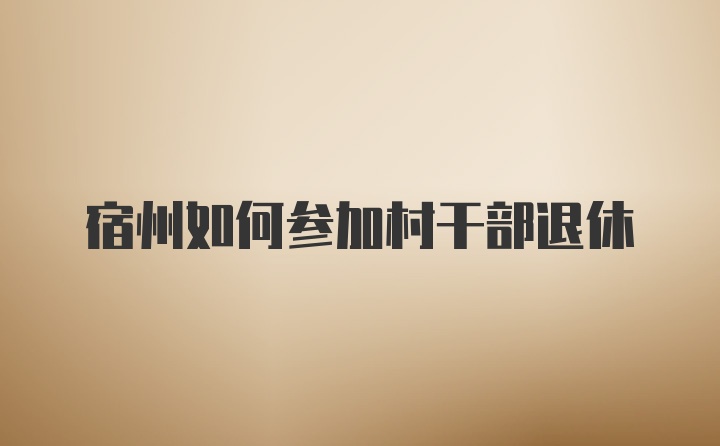 宿州如何参加村干部退休