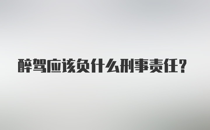 醉驾应该负什么刑事责任？