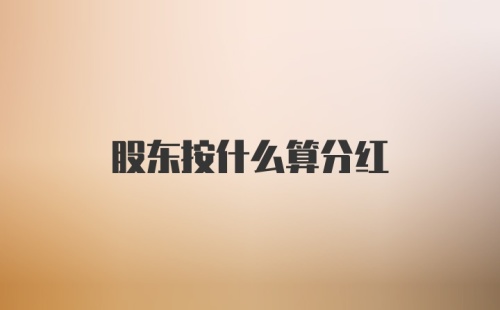 股东按什么算分红