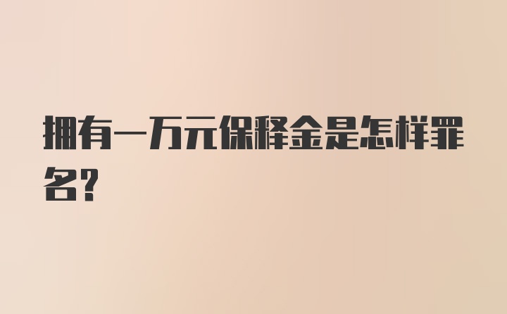 拥有一万元保释金是怎样罪名?