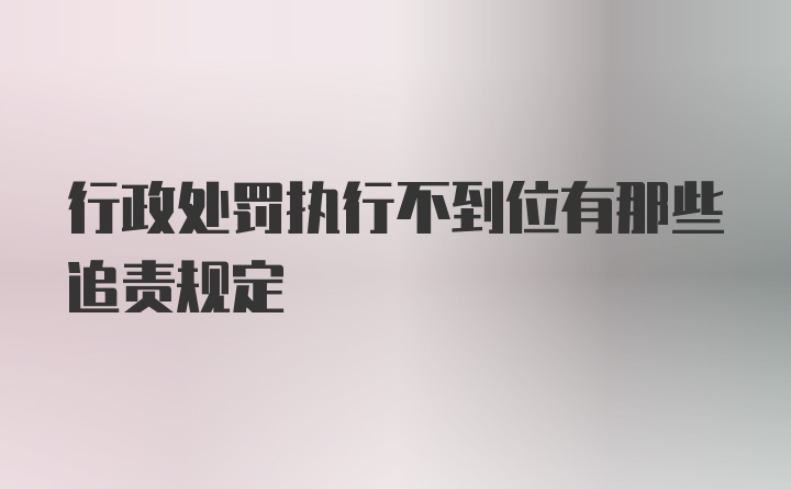 行政处罚执行不到位有那些追责规定