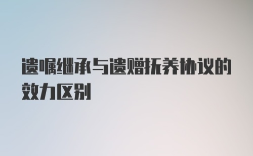 遗嘱继承与遗赠抚养协议的效力区别