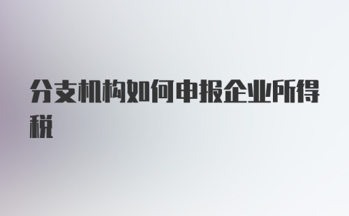 分支机构如何申报企业所得税