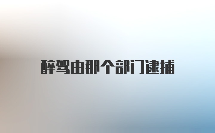 醉驾由那个部门逮捕