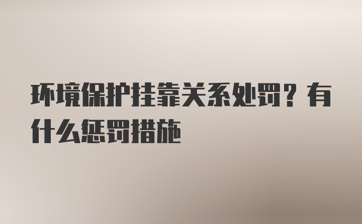 环境保护挂靠关系处罚？有什么惩罚措施