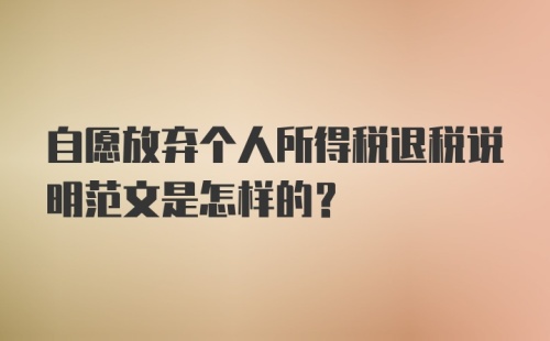 自愿放弃个人所得税退税说明范文是怎样的？