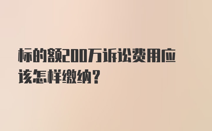 标的额200万诉讼费用应该怎样缴纳？