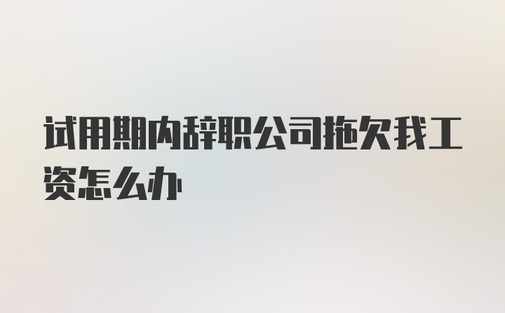 试用期内辞职公司拖欠我工资怎么办