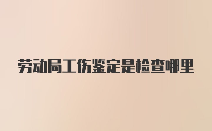 劳动局工伤鉴定是检查哪里