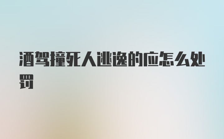 酒驾撞死人逃逸的应怎么处罚