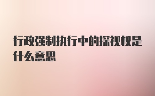 行政强制执行中的探视权是什么意思