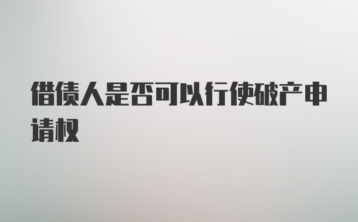 借债人是否可以行使破产申请权