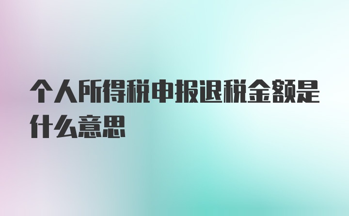 个人所得税申报退税金额是什么意思