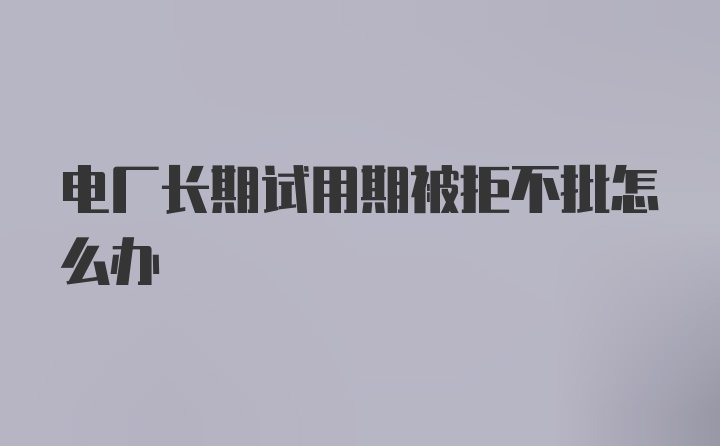 电厂长期试用期被拒不批怎么办