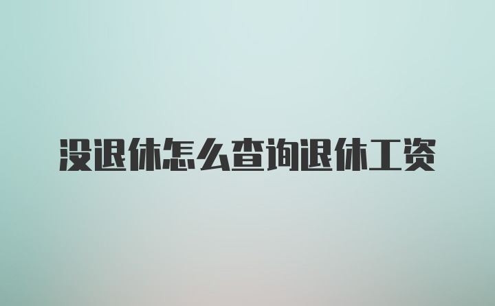 没退休怎么查询退休工资