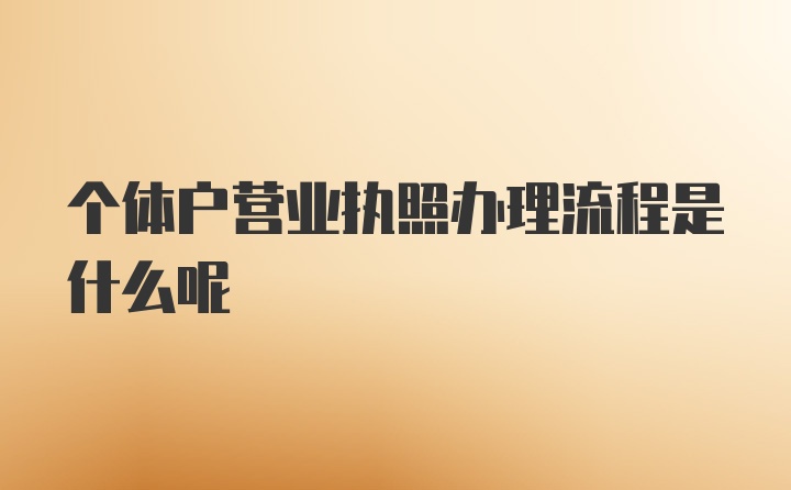 个体户营业执照办理流程是什么呢