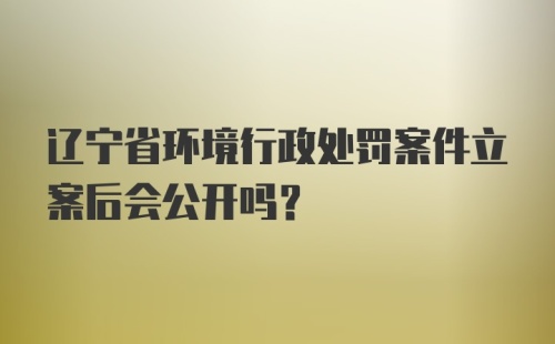 辽宁省环境行政处罚案件立案后会公开吗？