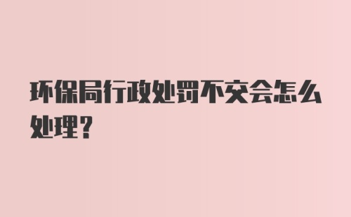 环保局行政处罚不交会怎么处理？