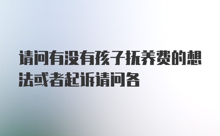 请问有没有孩子抚养费的想法或者起诉请问各