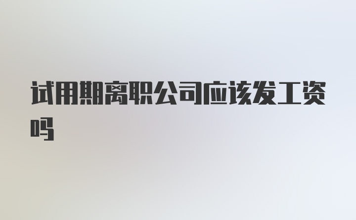 试用期离职公司应该发工资吗