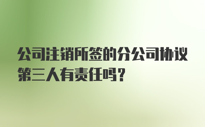 公司注销所签的分公司协议第三人有责任吗？