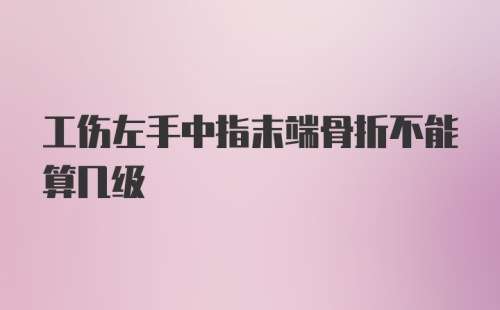 工伤左手中指末端骨折不能算几级