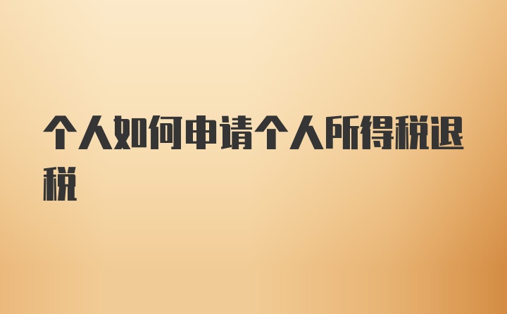 个人如何申请个人所得税退税