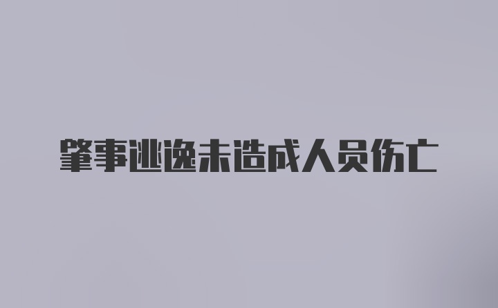 肇事逃逸未造成人员伤亡