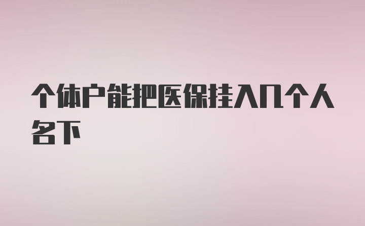 个体户能把医保挂入几个人名下