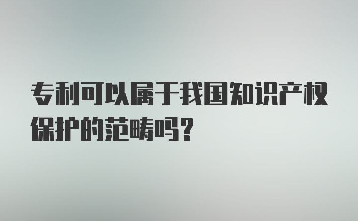 专利可以属于我国知识产权保护的范畴吗？