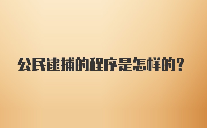 公民逮捕的程序是怎样的？