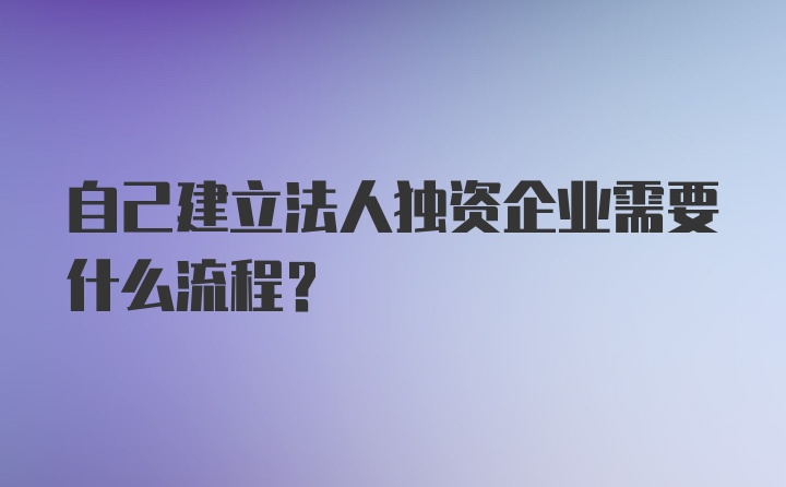 自己建立法人独资企业需要什么流程？