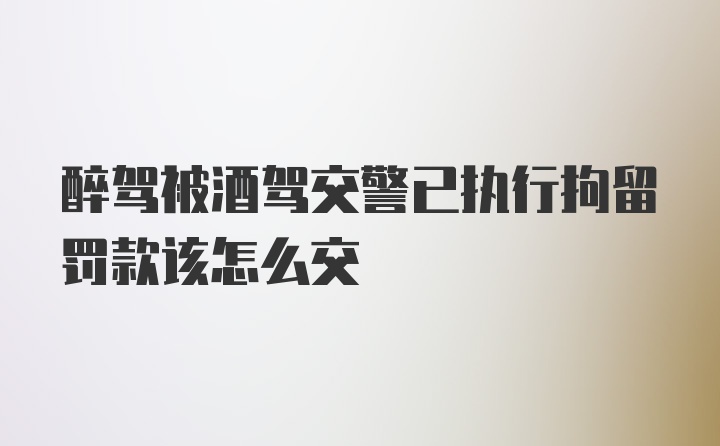 醉驾被酒驾交警已执行拘留罚款该怎么交