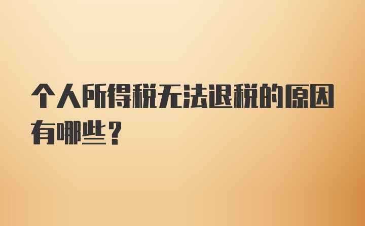 个人所得税无法退税的原因有哪些？