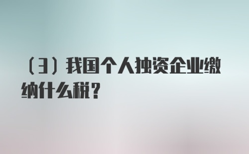 （3）我国个人独资企业缴纳什么税？