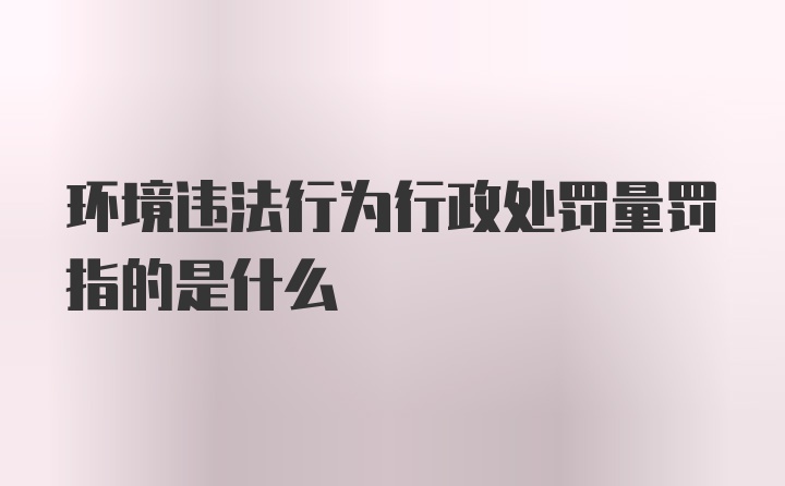 环境违法行为行政处罚量罚指的是什么