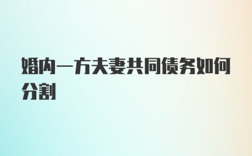 婚内一方夫妻共同债务如何分割