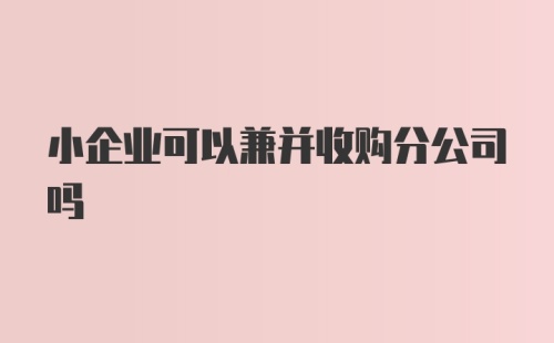 小企业可以兼并收购分公司吗