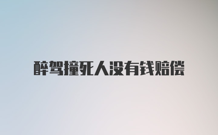 醉驾撞死人没有钱赔偿