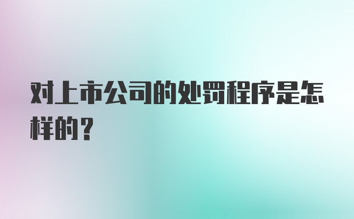 对上市公司的处罚程序是怎样的？