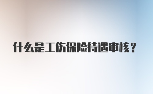 什么是工伤保险待遇审核？