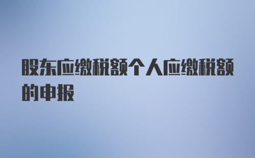 股东应缴税额个人应缴税额的申报