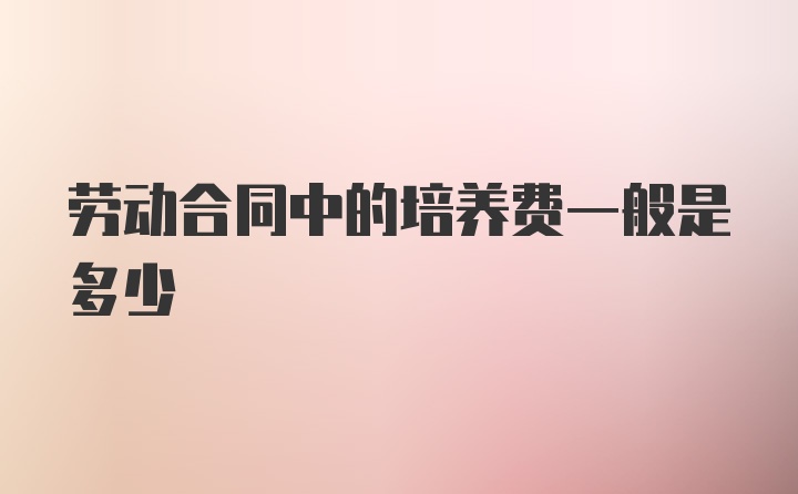 劳动合同中的培养费一般是多少